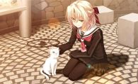 《秋之回忆8 无垢少女》本篇和外传 mig资源 含bin文件