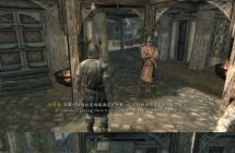 NS 上古卷轴5 全版本适用中英双语 mod