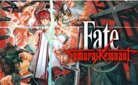 《圣杯战争 盈月之仪Fate Samurai Remnant》mig资源 中文 含bin文件