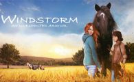 switch《风暴：不速之客 windstorm an unexpected》mig资源 含bin文件