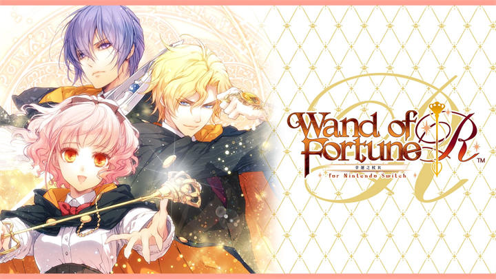 Wand of Fortune R for Nintendo Switch (2).jpg